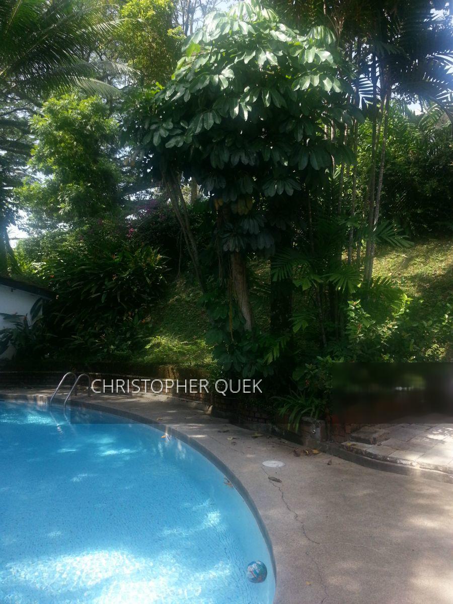 Kingsmead Road (D10), Detached #492828971